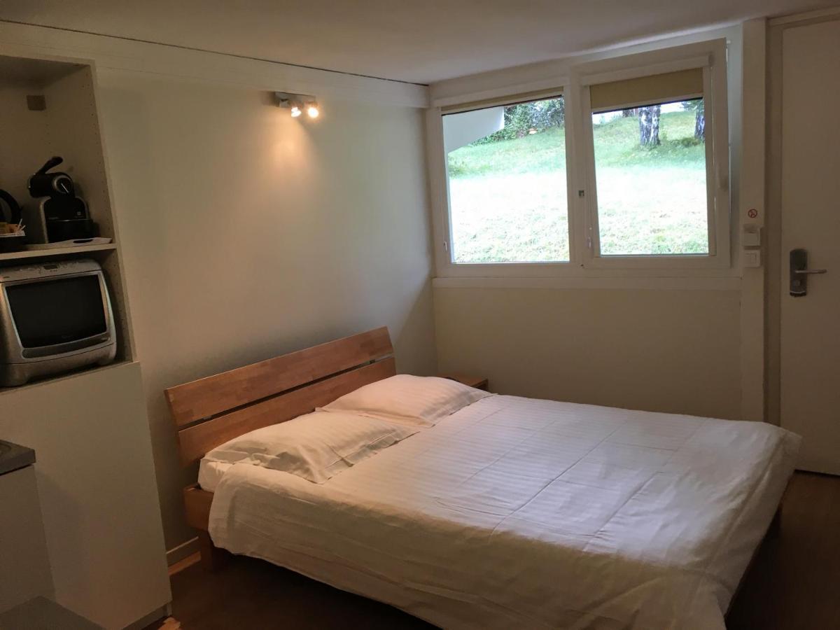 Chatillon-en-Michaille Hotel Pierre Blanche מראה חיצוני תמונה
